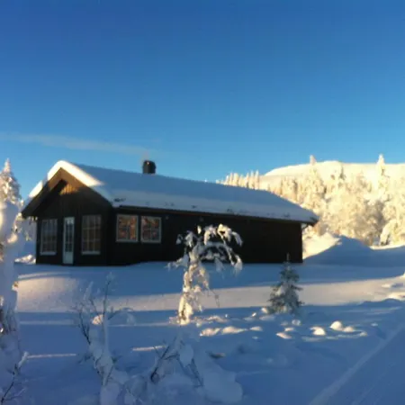 Koselig Hytte - Trysilfjellet Naert Til Sykkel- Og Turstier - 4 Soverom, 2 Bad, Badstue, Fiber Bredband Og Elbillader Exterior photo