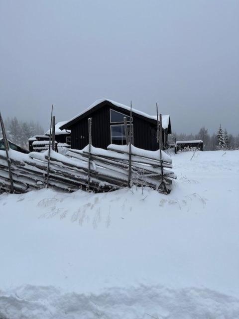 Håvi Solsiden En Koselig - In Og Out Feriehus Trysil