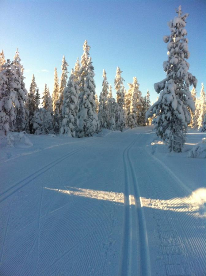 Holiday home Koselig - Trysilfjellet Naert Til Sykkel- Og Turstier - 4 Soverom, 2 Bad, Badstue, Fiber Bredband Og Elbillader *