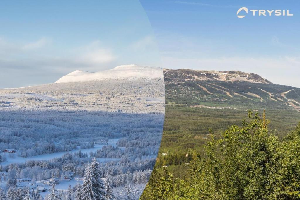 Koselig - Trysilfjellet Naert Til Sykkel- Og Turstier - 4 Soverom, 2 Bad, Badstue, Fiber Bredband Og Elbillader Holiday home