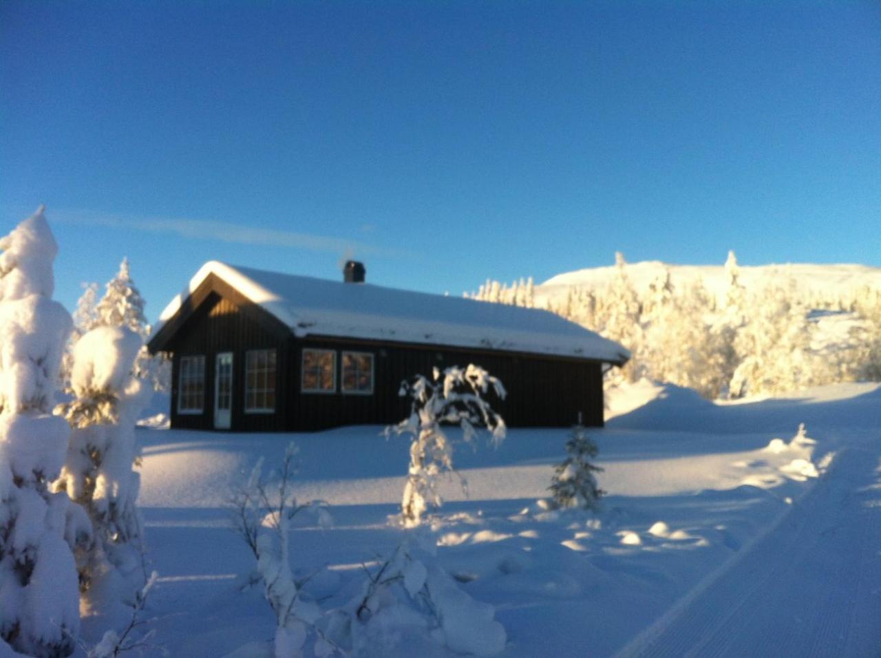 Koselig - Trysilfjellet Naert Til Sykkel- Og Turstier - 4 Soverom, 2 Bad, Badstue, Fiber Bredband Og Elbillader *